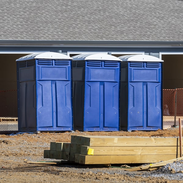 how can i report damages or issues with the porta potties during my rental period in Halcottsville New York